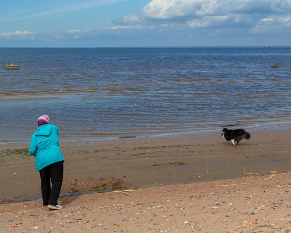 Eine Frau spielt am Strand mit einem Hund | © SymbiosisArtMedia - Shutterstock